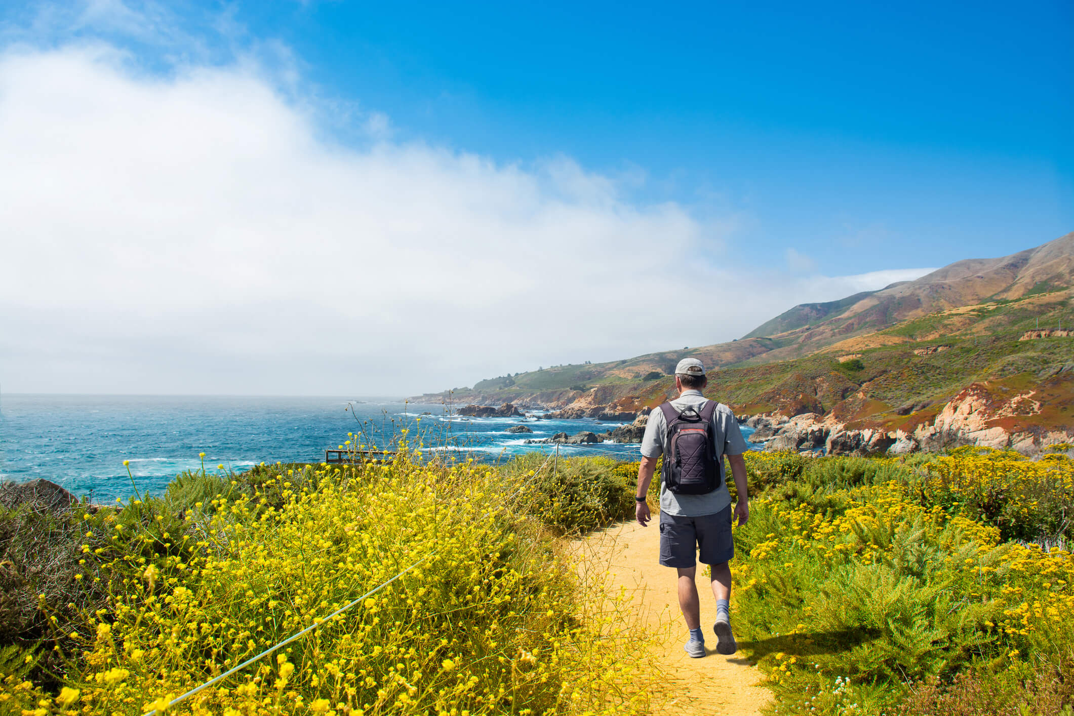 PECHO COAST TRAIL HIKES